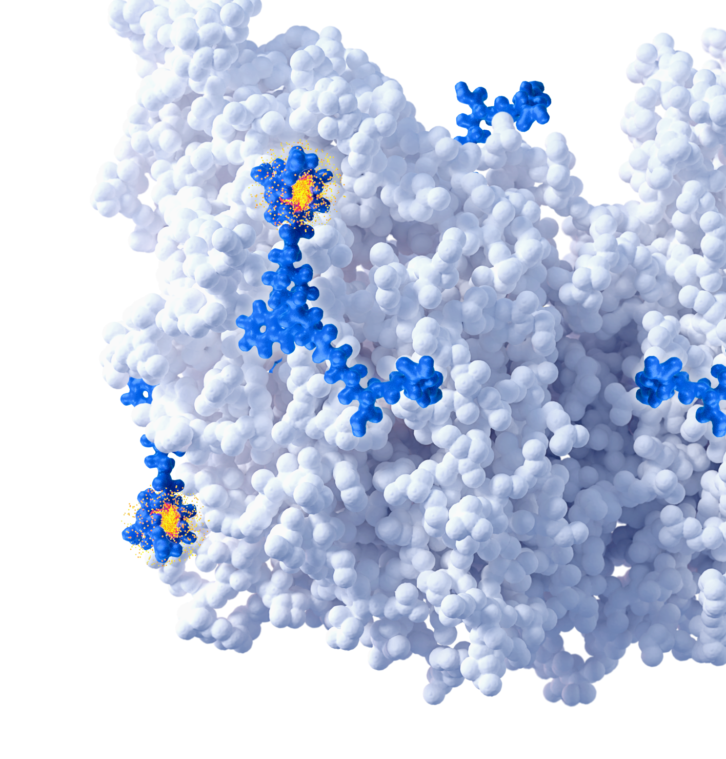 science of rlt