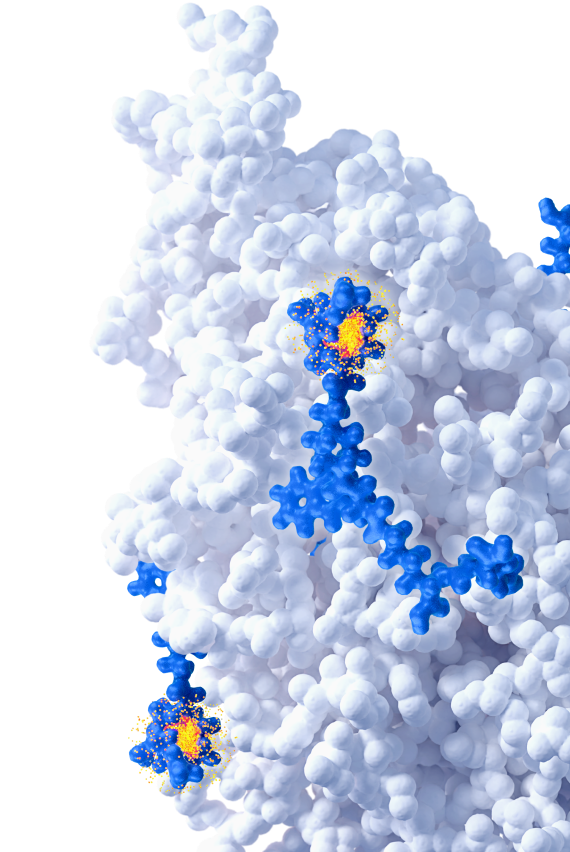 science of rlt