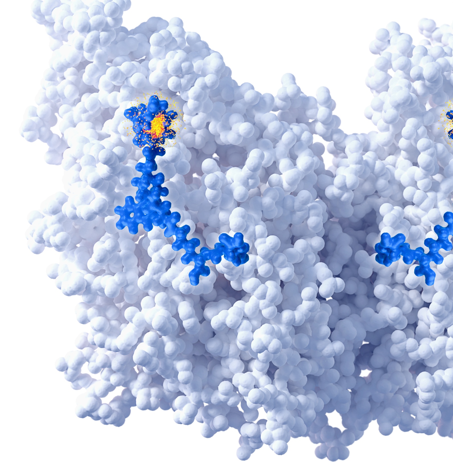 science of rlt